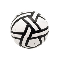Dayanıklı PVC Promosyon Futbol Topu Özel Logo Makine Dikişli Yüksek Hava Geçirgen File Çantası Özelleştirilebilir Hafif Antrenman Topları