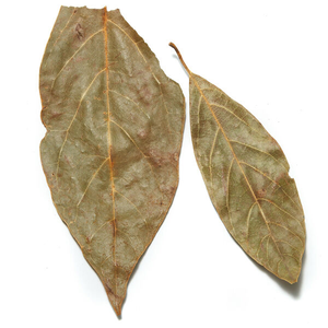 ใบอะโวคาโดอบแห้งแบบสดใหม่มีกลิ่นหอมและมีมูลค่าสูงตามธรรมชาติสำหรับผลิตในเวียดนามชนิดแปรรูปดิบ - Product Image 3