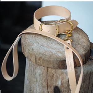 Conjunto de Collar y correa para perro, 38mm de ancho, Natural - Product Image 1