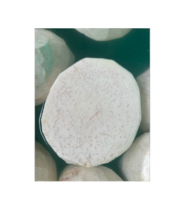 Iqf taro ปอกเปลือกเผือกบอลแช่แข็ง-ผักเผือกสดคุณภาพสูงสด | ส่งออกอาหารเวียดนาม - Product Image 1