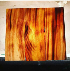 Cuerno de Búfalo Pulido Ecológico, Forma Natural, Escamas Negras, Arte Moderno Hecho a Mano, Coleccionable, Tamaño Personalizado, Venta al por Mayor para el Hogar - Product Image 4