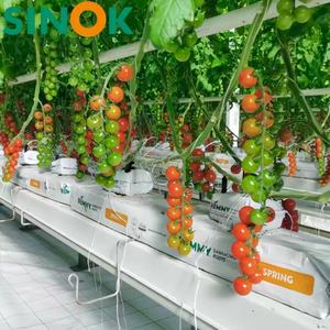 โรงเรือนกระจกเวนโล Sinok ขายดี พร้อมชุดอุปกรณ์ครบครัน โรงเรือนเพาะปลูกแบบหลายช่วงพร้อมระบบบังแดด สำหรับฟาร์มมะเขือเทศ - Product Image 6