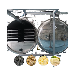 MEJOR OFERTA Liofilizador de alimentos de grado industrial y DIY para frutas y verduras con garantía de 3 años OEM/ODM disponible - Product Image 1