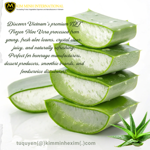 Cubes d'aloe vera surgelés de haute qualité, exportés en vrac par un fournisseur vietnamien - Product Image 2