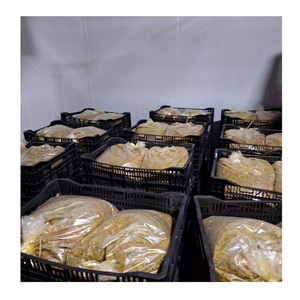 Fruits de la passion surgelés de l'exportateur vietnamien de confiance 99 offres de données d'or fruits de la passion surgelés pour l'industrie des services alimentaires - Product Image 6