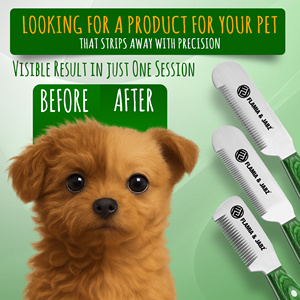 Flamia Jabz Essential grand chien en bois peignes à dénuder Terriers couteau à carder manche vert écologique efficace toilettage pour animaux de compagnie - Product Image 3