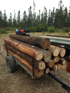 Troncos modernos ecológicos de madera de nogal de grano recto con chapa de abedul E0 Estándares de emisión de formaldehído para hoteles Villas - Product Image 5