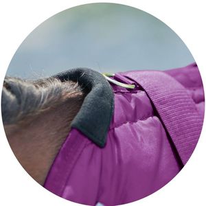 Recién llegado, manta de desvíos de caballo en miniatura con cierre frontal con gancho, hojas de mosca de caballo bordadas con logotipo, alfombras de caballo Pony - Product Image 3