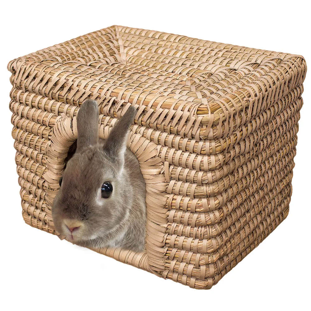 เหมือนกัน