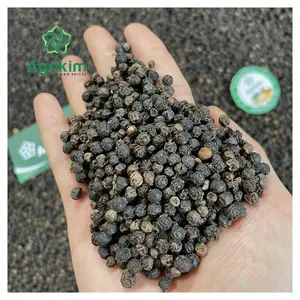 Seasoning Spices Dried Black Pepper Asta Standards Fine Grade Natural Color Carefully Selected Wholesale Price