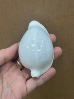 Coquillages de cauris blancs, coquillages de cauris œuf pour la décoration intérieure DIY, technique de polissage