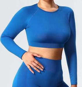 Venta al por mayor de logotipo personalizado suave de manga larga Crop Top Shorts Yoga Active Wear conjuntos de las mujeres sin costuras gimnasio Fitness Sets - Product Image 5