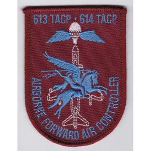 Écusson personnalisé en feutre non tissé, brodé à la machine, à coudre, avec motifs SERGEANT STRIPES, IRON CROSS, WINGS US - Product Image 5