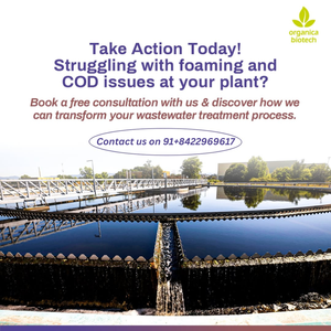 Tratamiento biológico de aguas residuales lácteas - Product Image 6