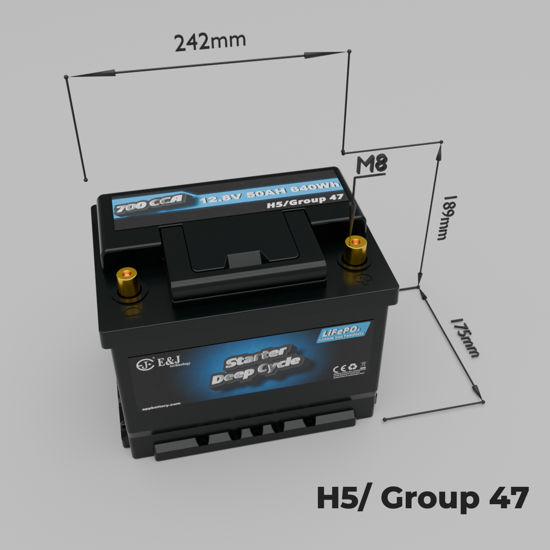 Batteria LiFePO4 12V 60Ah 900CCA per KIA EV6 e Hyundai Kona Electric