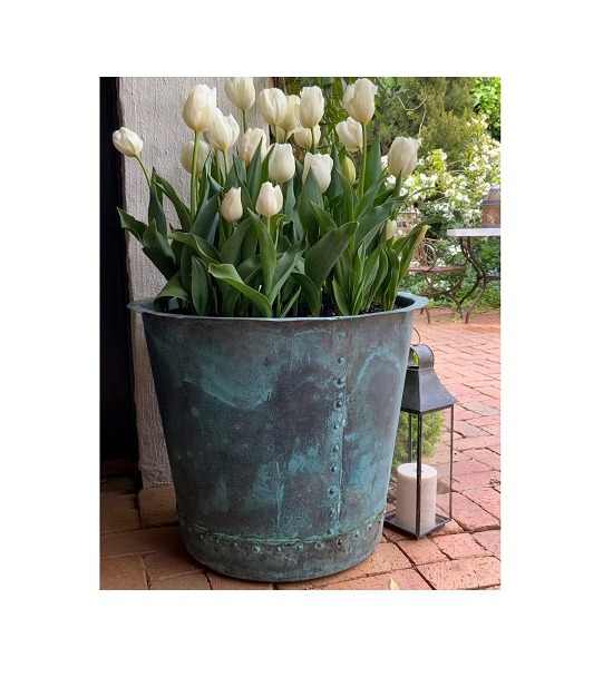 Antique Design Pure Aluminium Single Piece Planter for Garden and Balcony Decoration at Economical Rate