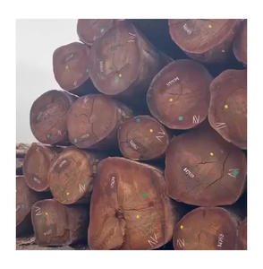 Troncos de Nogal Negro al por Mayor de Proveedores Canadienses con Prácticas de Cosecha Sostenible y Logística Transfronteriza Eficiente - Product Image 3