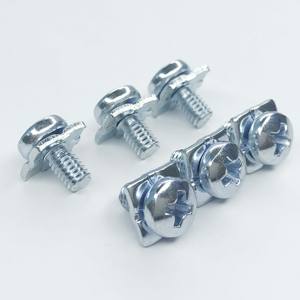 สกรูสแตนเลสรูปทรงไม่เป็นมาตรฐานแบบกําหนดเองสกรู DIN603 - Product Image 1