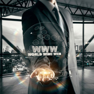 Service de hébergement et de protection de domaines sécurisés pour plateformes de solutions de serveurs de sites Web professionnels et gestion de l'accessibilité des sites Web - Product Image 3