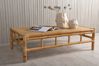 Table basse en bambou moderne et écologique, durable, pour usage intérieur et extérieur, taille personnalisée, origine Vietnam, meubles de salon, rectangulaire