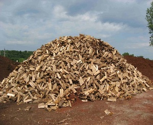 Compre a granel 100% paletas o redes de madera de pino y cítricos de leña de roble para uso energético - Product Image 3