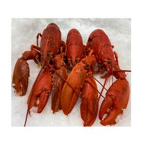 กุ้งมังกรแช่แข็งสด, กุ้งมังกรดิบ, กุ้งมังกรเป็นๆ คุณภาพส่งออกสูงสุด - Product Image 5