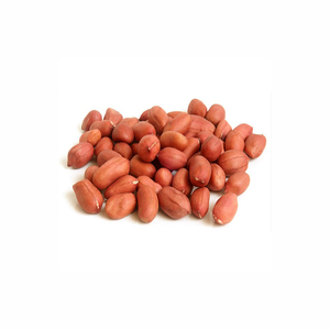 100% Cacahuetes Jumbo de piel roja orgánica Cacahuetes secos frescos Cacahuetes Semillas crudas de alta proteína al por mayor Núcleo de cacahuete rojo fresco - Product Image 6