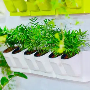 Kunststoff Doppel pflanzen topf Wandbehang Pflanze Kunststoff für die Inneneinrichtung Günstige Großhändler Blumentopf Lieferant aus Vietnam