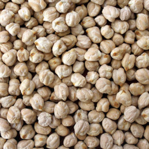 Pois chiches Desi séchés naturels Noir Gram du Bengale Nettoyé Entier Maharashtra Produit Biologique Certifié Sacs de 50kg - Product Image 6