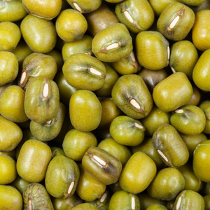 Frijoles Mung secos verdes orgánicos naturales y frescos de primera calidad al por mayor, empaquetados con proteínas saludables para los mercados de alimentos - Product Image 6