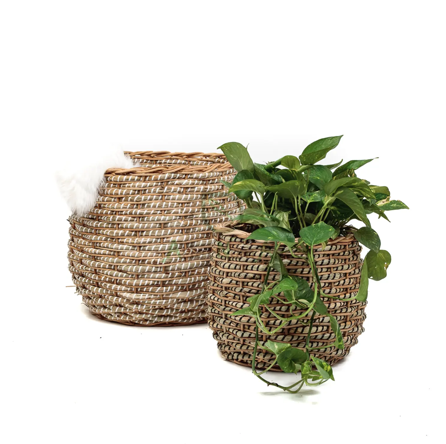 Cesto per piante di alghe/vasi per piante intrecciate fioriera per cestini da interno con fodere in plastica/coperchio decorativo per vasi da fiori in vimini