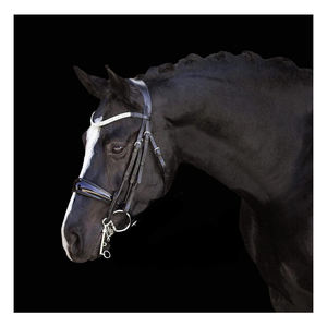 Lumiere-brida de cuero para caballo ecuestre Amie, de lujo, de proveedor indio - Product Image 3