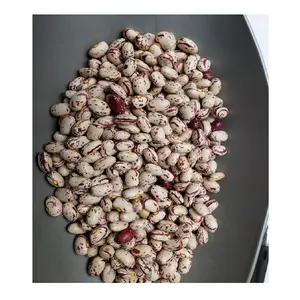 Light Speckled Kidney Beans /Pinto Beans/Sugar Beans