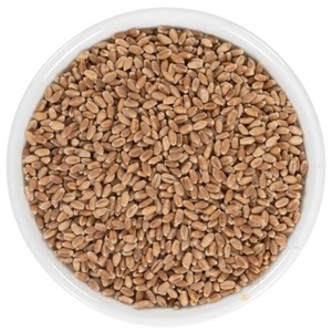 Cebada Malteada Quemada a Granel, Ingrediente Crudo de Primera Calidad para Procesamiento de Alimentos, Elaboración de Cerveza, Repostería y Uso Culinario - Product Image 4