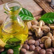 Fournisseur d'huile Sachi de qualité supérieure/Haute qualité et meilleur prix/Huile Sachi Inchi - Product Image 2