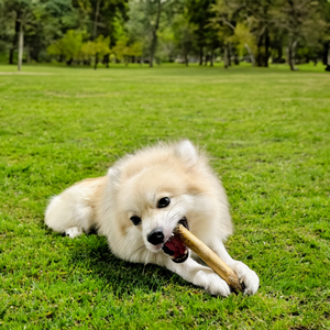 Masticable de Madera de Café de Alta Calidad para las Necesidades Diarias de Masticación - Product Image 5