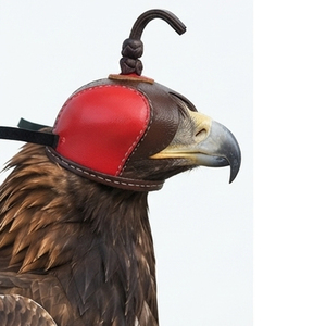 Leather Falconry Hood Brown With Red <b>Panel</b> Durable One Size All Seasons Hunting Equipment Solid Color Style Falconry Hood - Product Image 6