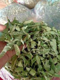 Hojas de Guayaba Secas 100% Naturales Hechas en Vietnam - Product Image 6