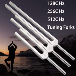 Diapason manuel de précision chirurgicale 512 Hz World Precision Surgical |   Instrument médical de diagnostic ENT WPS-AC-13 |   Certifié CE Classe I |   3 ans - Product Image 6