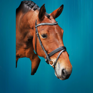 Brida de caballo ecuestre de estilo protector duradero - Product Image 3