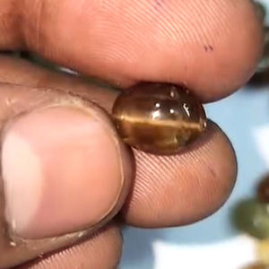 ตาแมวธรรมชาติ1010 342ชิ้นขนาด8มม. ถึง19มม. เพชรทรงรีออคพลอยหลวม - Product Image 4