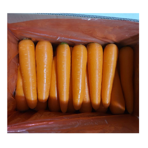 Carottes fraîches nouvelle culture 4.5 KG emballage en carton petite taille exportation mondiale pas cher prix carottes fraîches de haute qualité à partir de 99 données d'or - Product Image 5