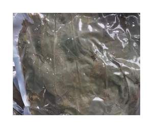 Hojas de Graviola de Guanábana seca de primera calidad: Hojas de Guanábana secas de color verde y aroma natural para exportación de té de hierbas - Product Image 4