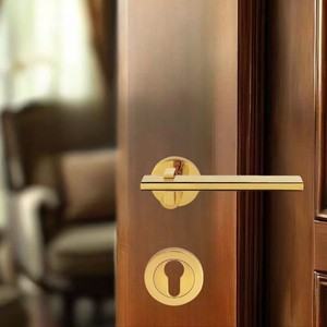 Cerradura de puerta de acero inoxidable magnética moderna para el hogar con manija de puerta de dormitorio PVD dorado silencioso Tipo de producto premium Manijas de puerta - Product Image 1