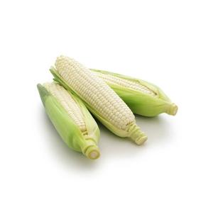 Maïs Blanc Séché de Qualité Supérieure, 100% Biologique, Exportateur en Gros du Brésil, Pur Naturel, en Sacs, Maïs Sucré Séché Biologique - Product Image 3