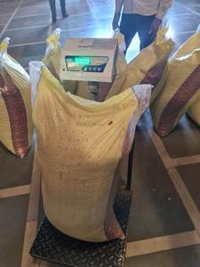 Arachides séchées de qualité supérieure en provenance du Vietnam, offrant un goût naturel et des prix compétitifs pour les marchés internationaux - Product Image 4