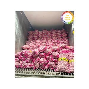 Ail séché granulés d'ail naturel d'origine vietnamienne soigneusement transformés pour les condiments snacks et la distribution mondiale en gros - Product Image 3