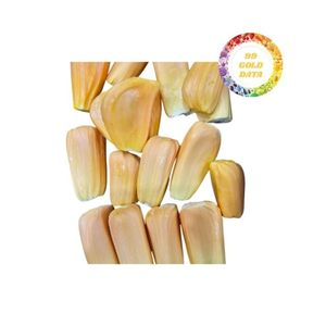 Exportador de Jaca congelada de Vietnam que ofrece un sabor delicioso, gran textura y excelente calidad de 99 Gold Data - Product Image 1