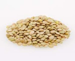 Lentejas Verdes Francesas Secas a Granel 25kg en Venta - Product Image 1