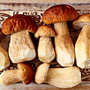 Champignons séchés en vrac à l'arôme riche pour les restaurants fournissant des champignons séchés naturels purs à des prix de gros attractifs - Product Image 4